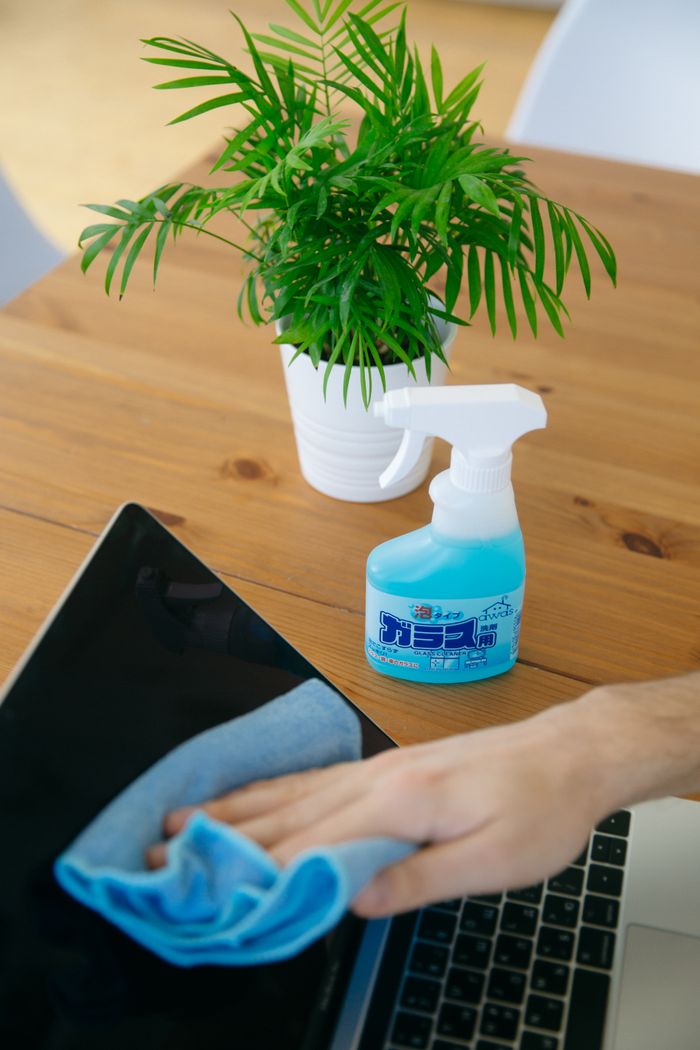 services-01 Close-up of a person cleaning a laptop screen with a blue cloth and spray cleaner, next to a houseplant.